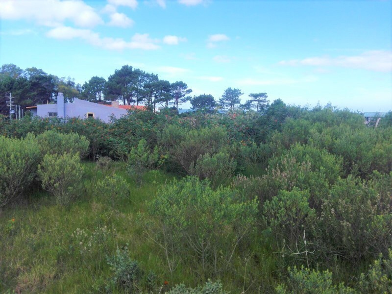 Lindo terreno en segunda linea de mar en Balneario Buenos Aires